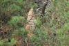IMG 0126 IMG 0126