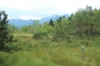 IMG 0136 IMG 0136