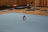 IMG 0035 IMG 0035