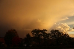 IMG 0035 IMG 0035