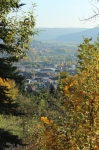 IMG 0042 IMG 0042