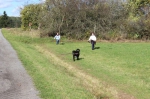 IMG 0023 IMG 0023