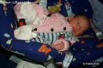 Bild-0001206