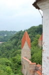 IMG 0041 IMG 0041