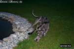 Bild-0001221 Bild-0001221
