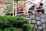 img 0090 img 0090