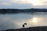 IMG 0017 IMG 0017