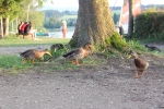 IMG 0333 IMG 0333