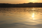 IMG 0337 IMG 0337