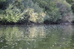 IMG 0047 IMG 0047