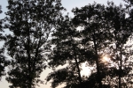 IMG 0066 IMG 0066