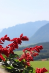 IMG 0380 IMG 0380