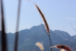 IMG 0381 IMG 0381
