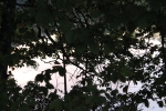 IMG 0436