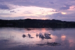 IMG 0521 IMG 0521