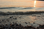 IMG 0578 IMG 0578