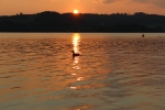 IMG 0595 IMG 0595