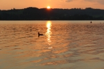IMG 0596 IMG 0596