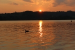IMG 0597 IMG 0597