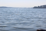IMG 0645 IMG 0645