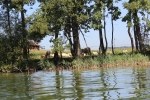 IMG 0650 IMG 0650