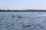 IMG 0655 IMG 0655