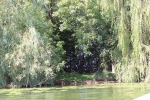IMG 0669 IMG 0669