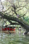 IMG 0675 IMG 0675