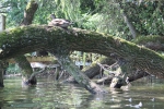 IMG 0679 IMG 0679