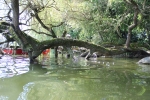 IMG 0682 IMG 0682
