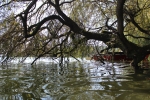 IMG 0683 IMG 0683