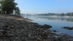 IMG 0692 IMG 0692