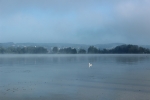 IMG 0696 IMG 0696