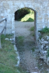 IMG 0064 IMG 0064