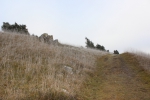 IMG 1766 IMG 1766