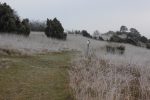 IMG 1767 IMG 1767
