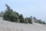 IMG 1770 IMG 1770
