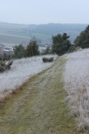 IMG 1780 IMG 1780