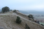 IMG 1795 IMG 1795