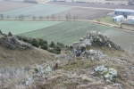 IMG 1796 IMG 1796