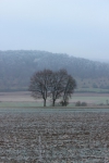 IMG 1812 IMG 1812