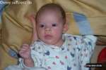 Bild-0001138 Bild-0001138