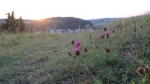 IMG 0016 IMG 0016