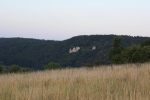 IMG 0027 IMG 0027