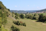 IMG 0021 IMG 0021