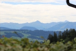 IMG 0019 IMG 0019