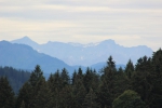 IMG 0067 IMG 0067