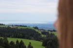 IMG 0090 IMG 0090