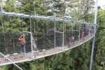 IMG 0184 IMG 0184