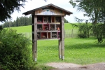 IMG 0238 IMG 0238